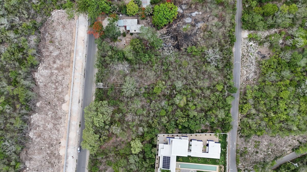 TERRENO DE OPORTUNIDAD EN VENTA UBICADO EN XCUNYA AL NORTE DE MERIDA. - foto 3