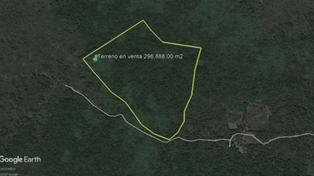 1 de 4