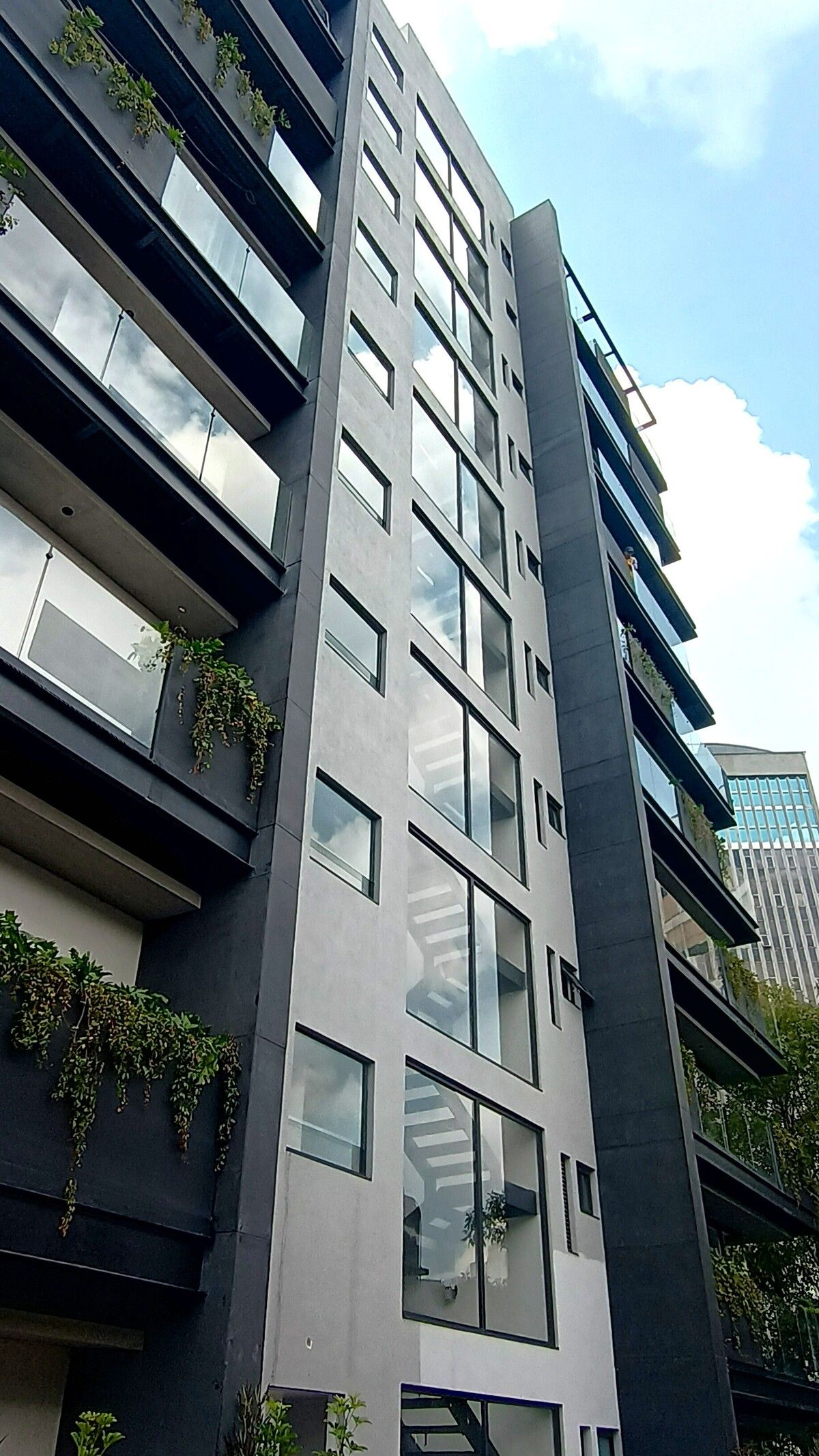 1 de 11