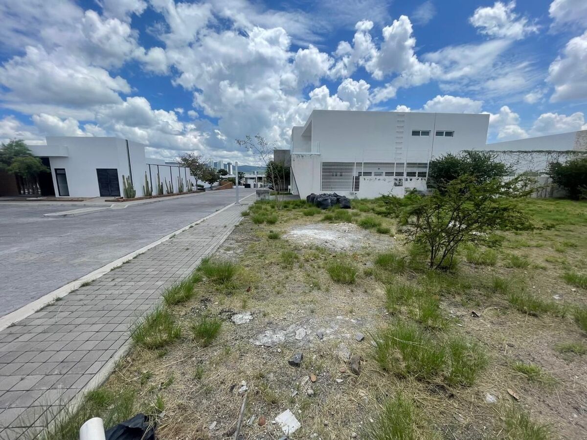 4 de 6