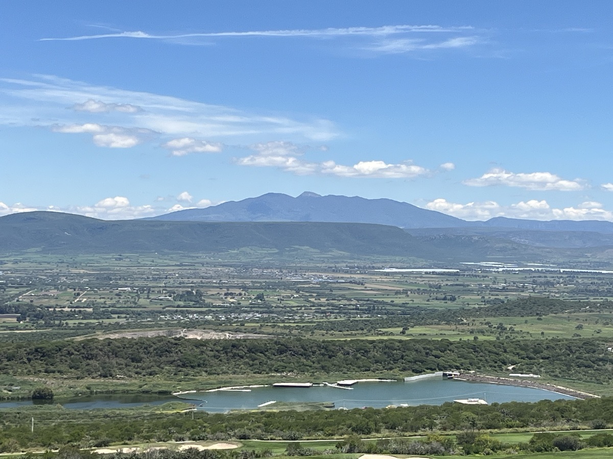 16 de 24