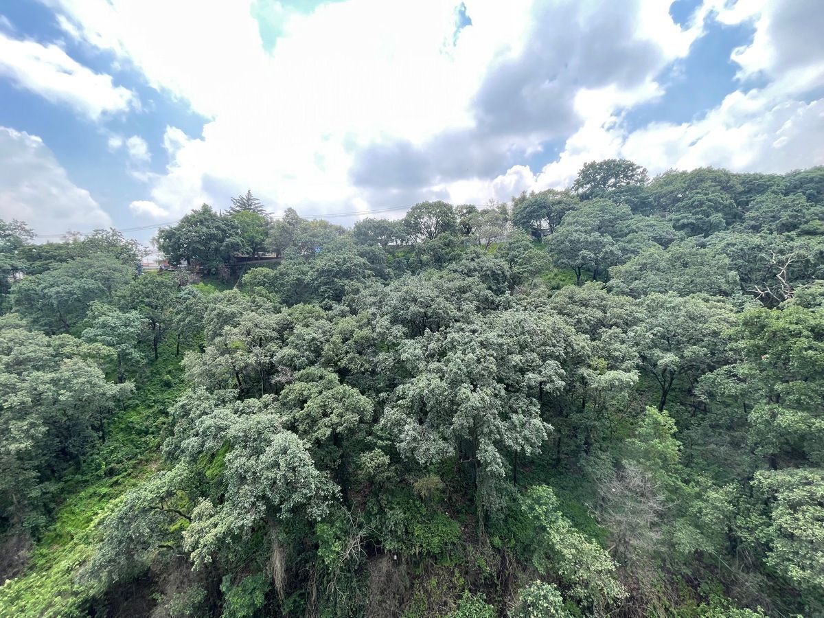 9 de 39