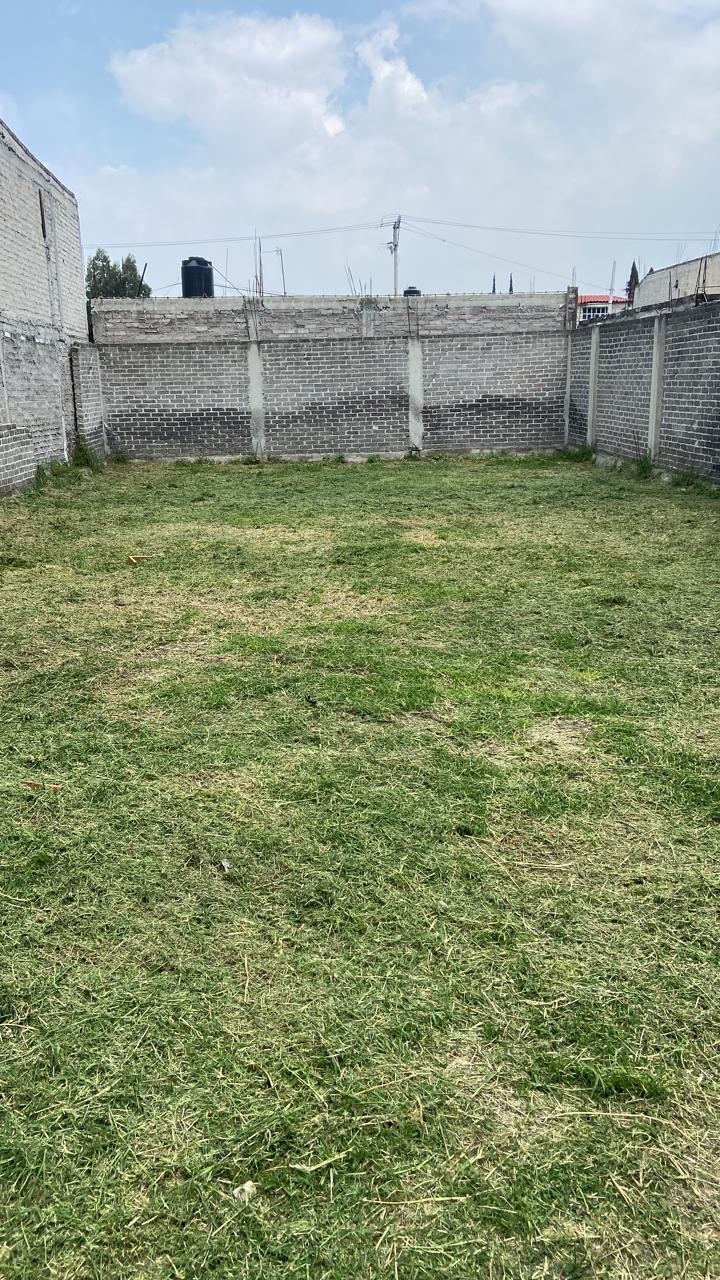 4 de 11