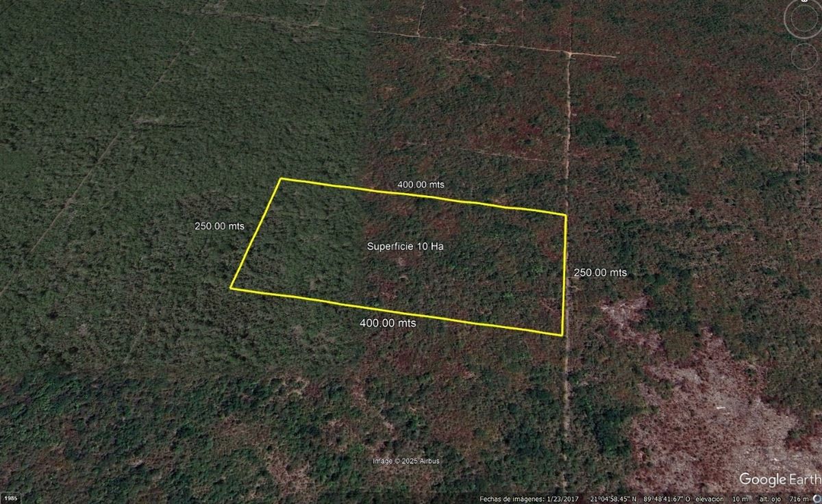 Terreno en Venta de 10 Hectáreas en Hunucmá PRECIO DE OPORTUNIDAD - foto 1