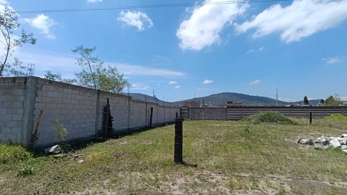 4 de 15