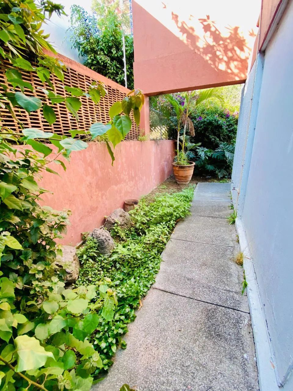 2 de 19: Casa en Venta con Locales Comerciales – Zona La Minerva