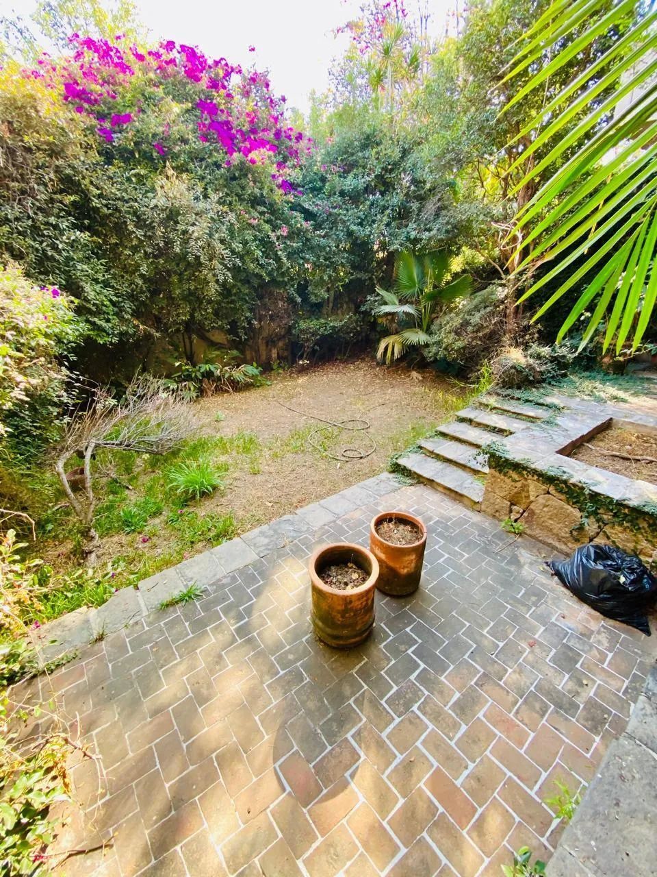 4 de 19: Casa en Venta con Locales Comerciales – Zona La Minerva