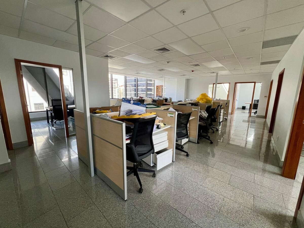 Oficina en Ensanche Serrallés, Santo Domingo Centro (Distrito Nacional), foto 5 de 11