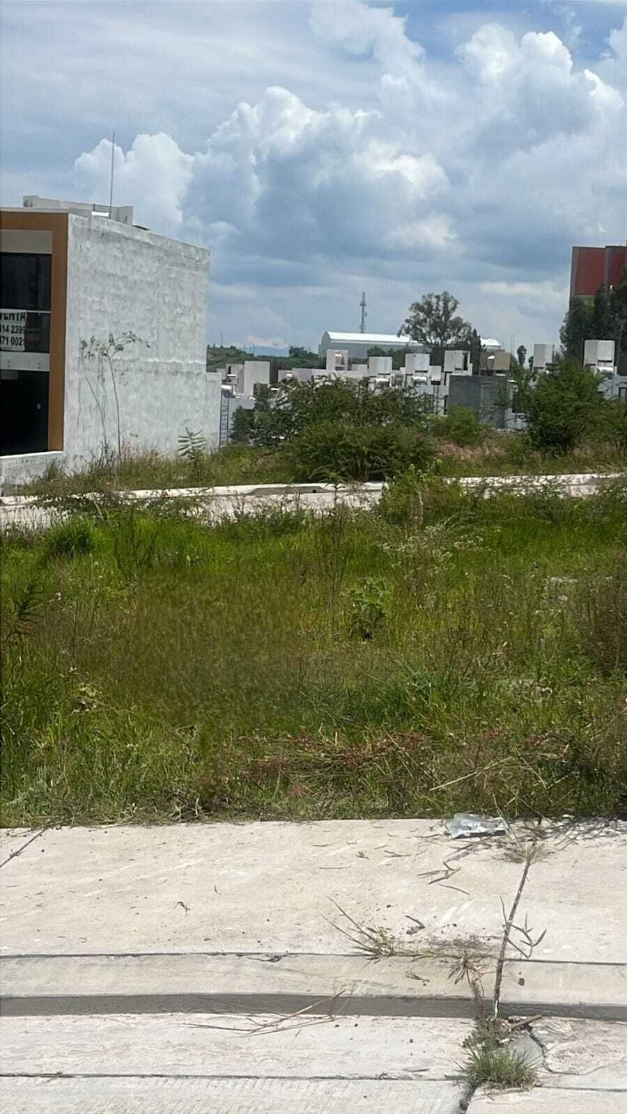 3 de 8