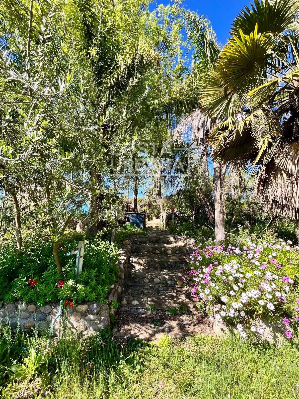 Casa en Limache, foto 18 de 31