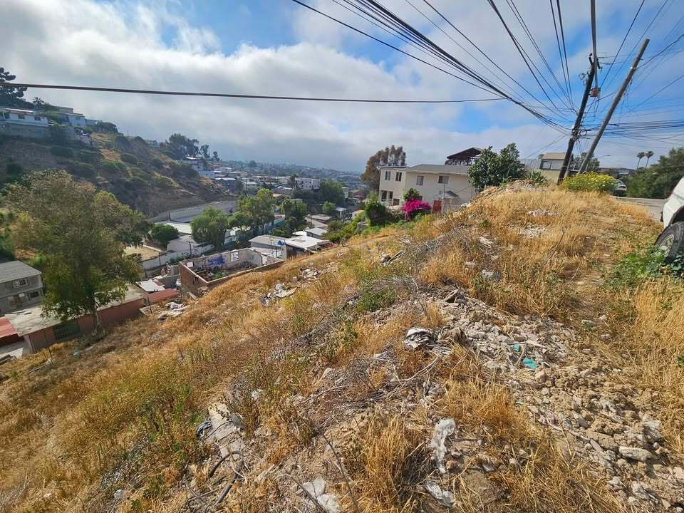 2 de 6