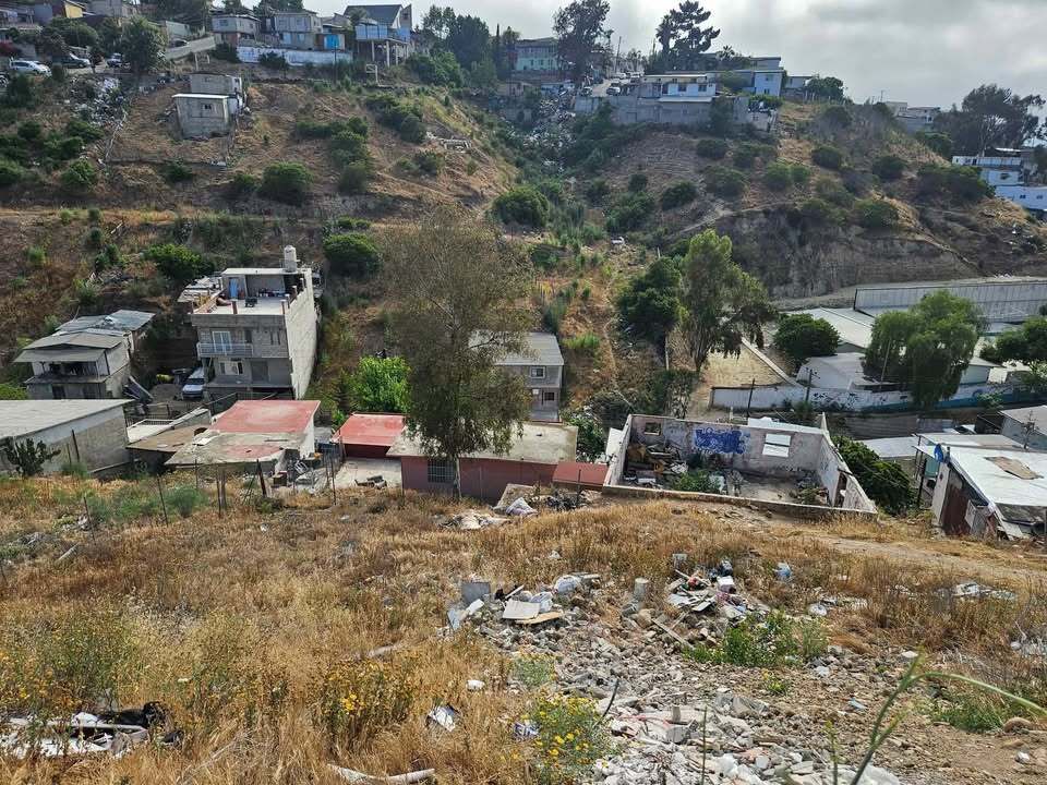 4 de 6