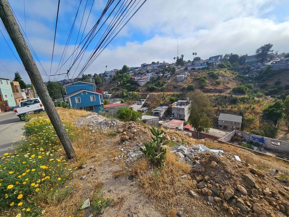 5 de 6