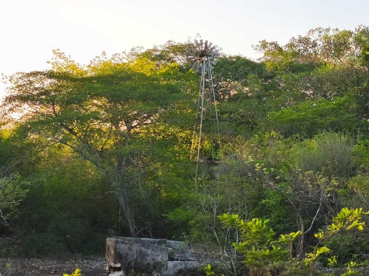 6 de 39