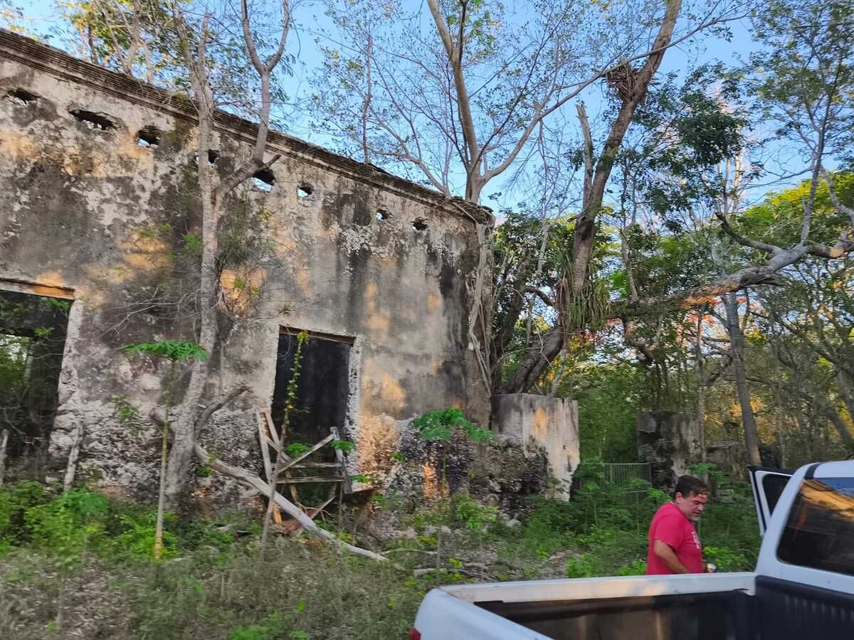 9 de 39