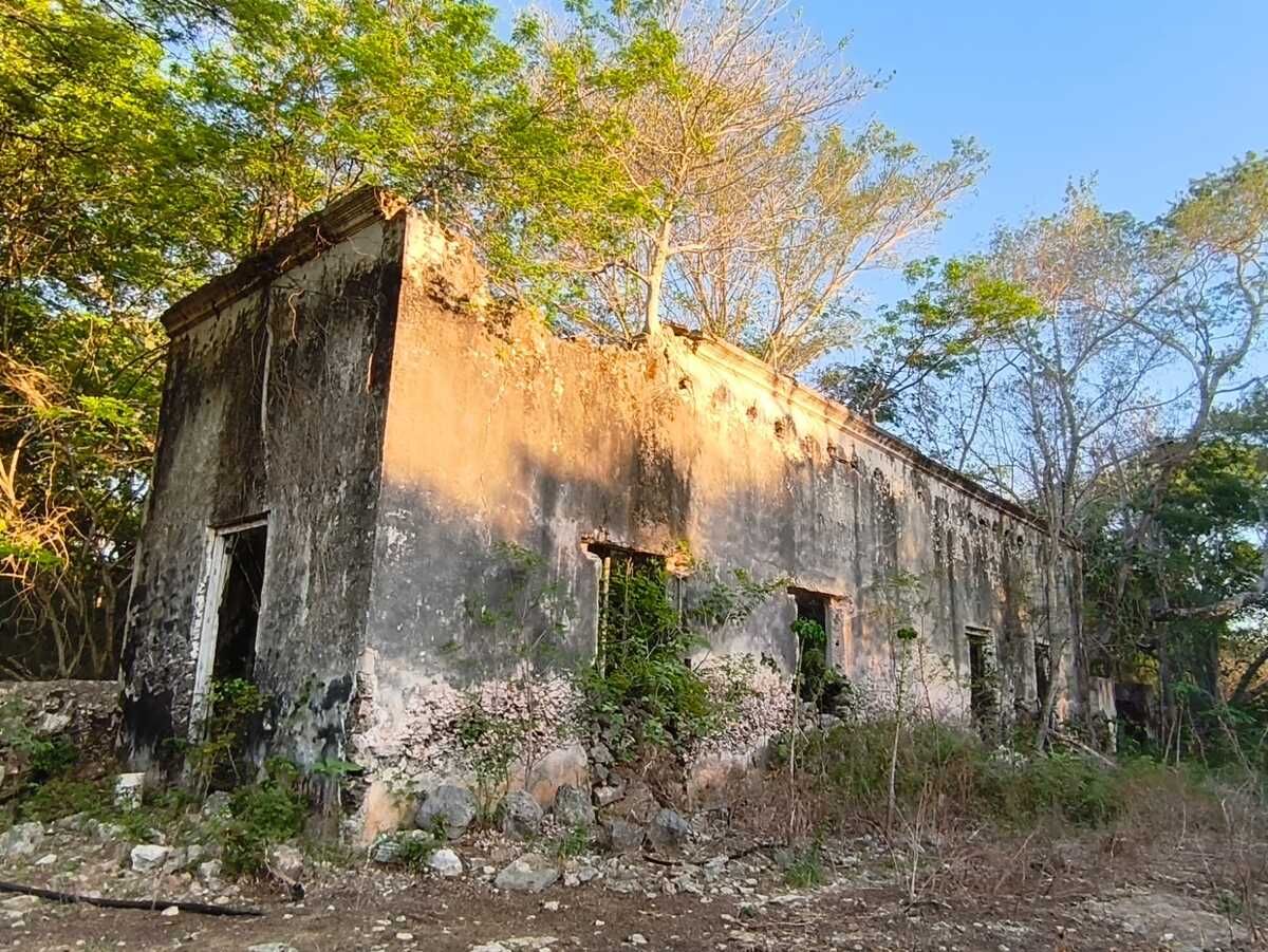 10 de 39
