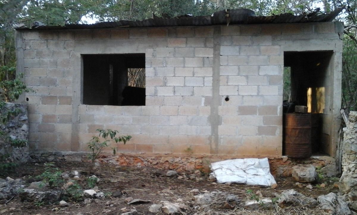14 de 39