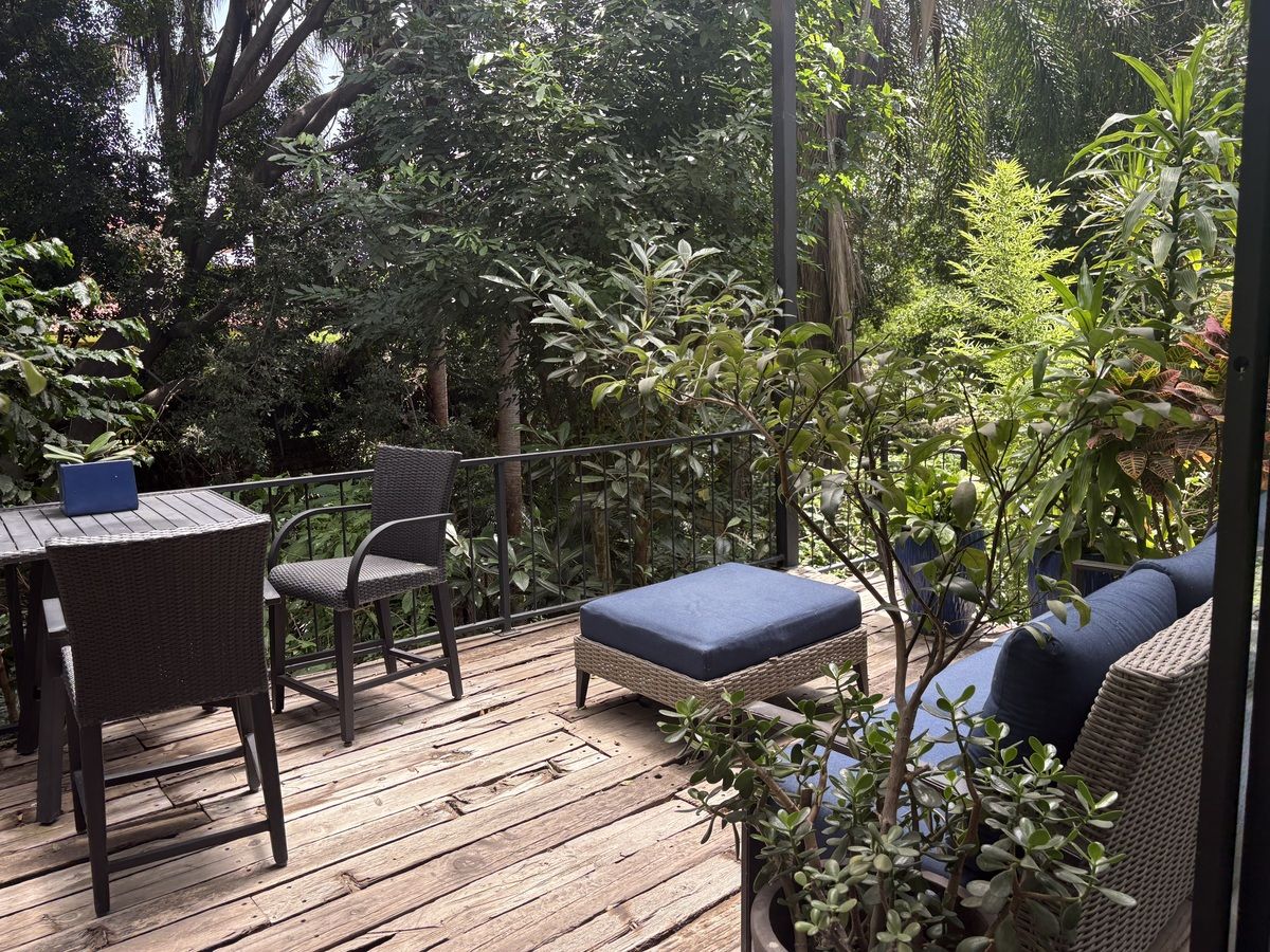 3 of 5: Terraza