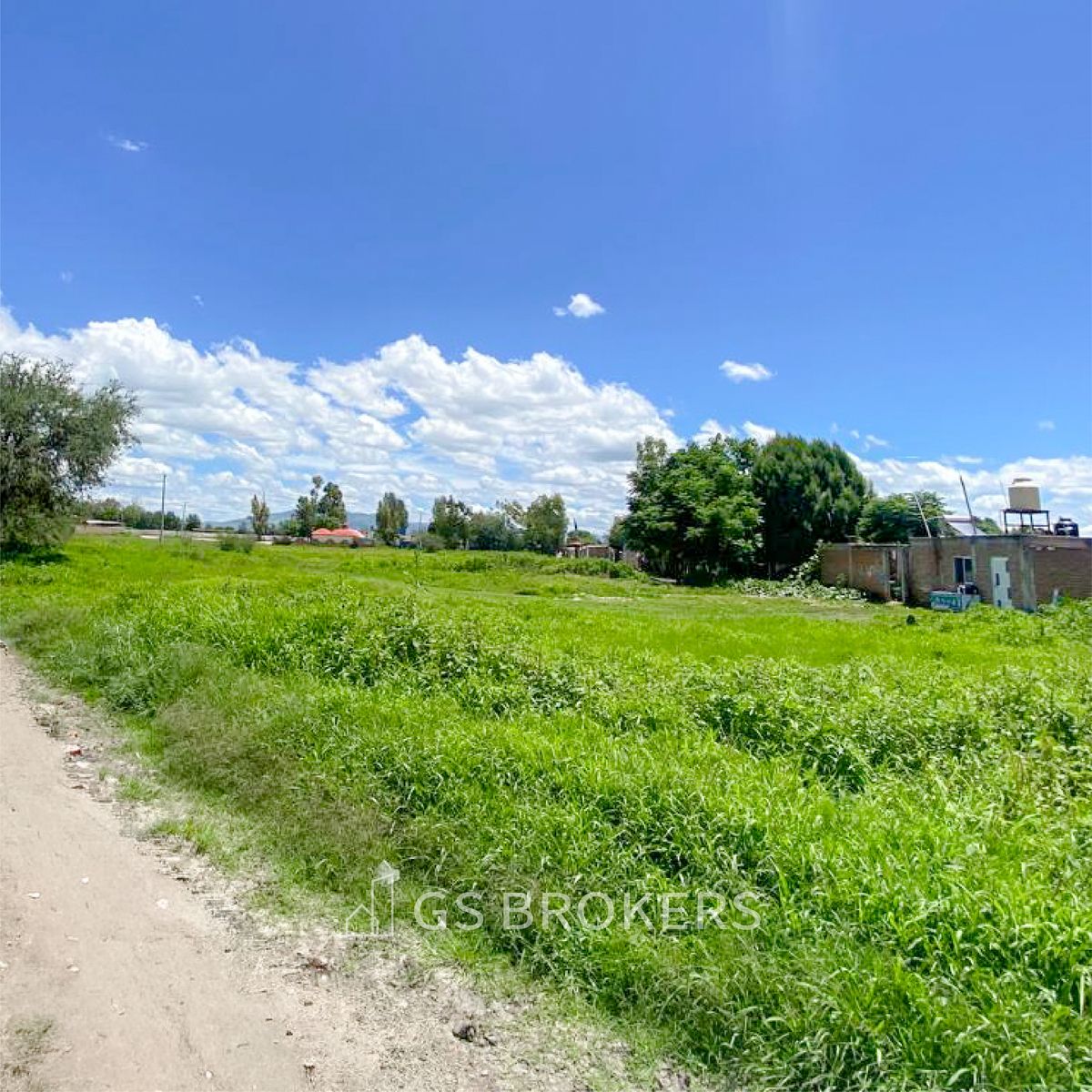 Predio en Venta | Silao, Guanajuato - foto 3
