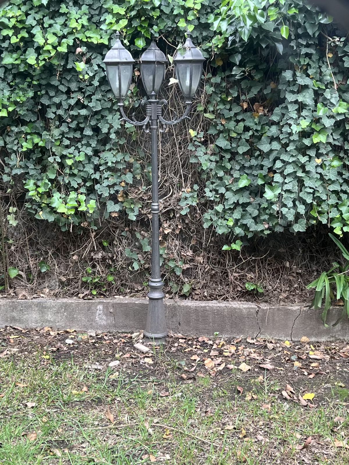 13 de 31: Jardin