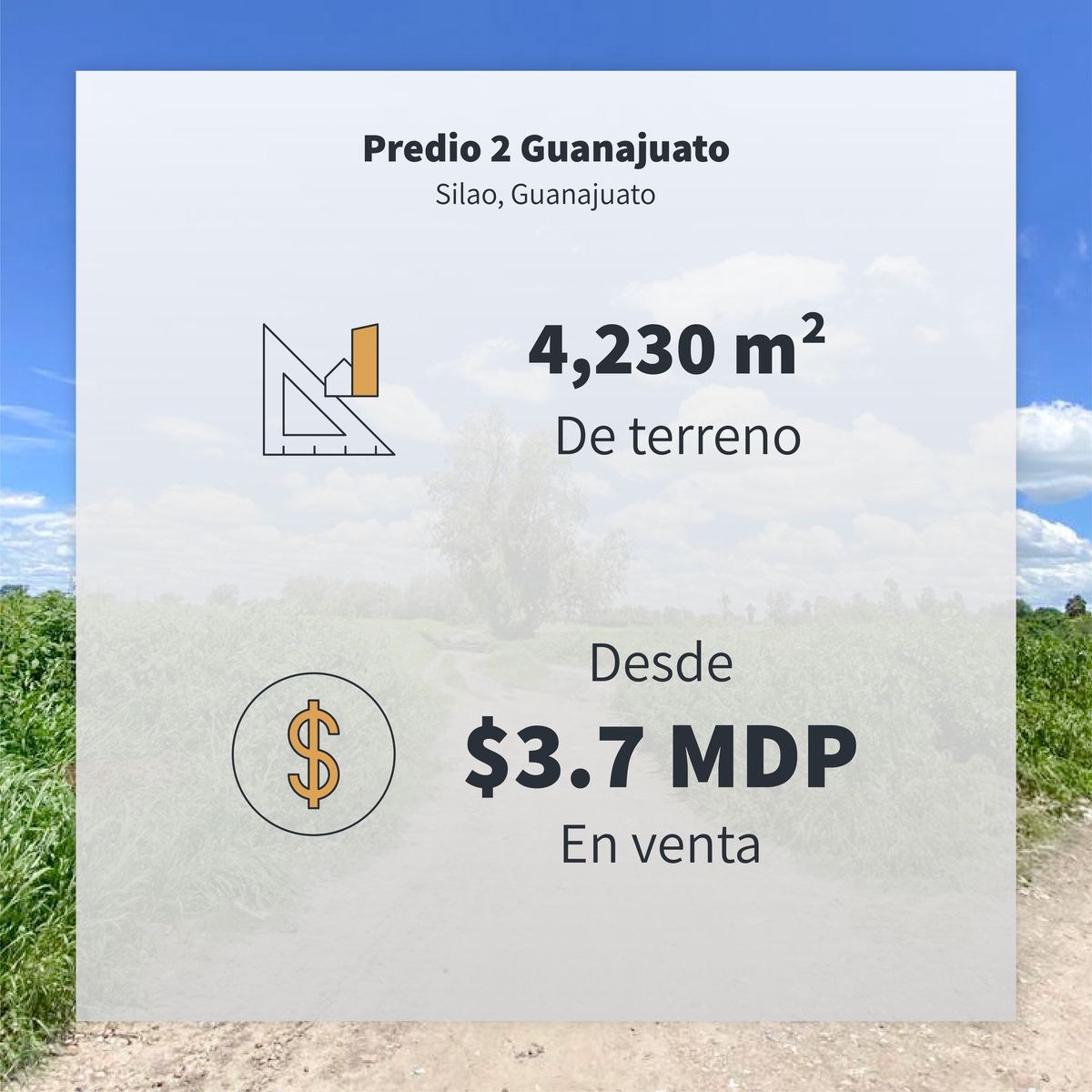 2 de 4