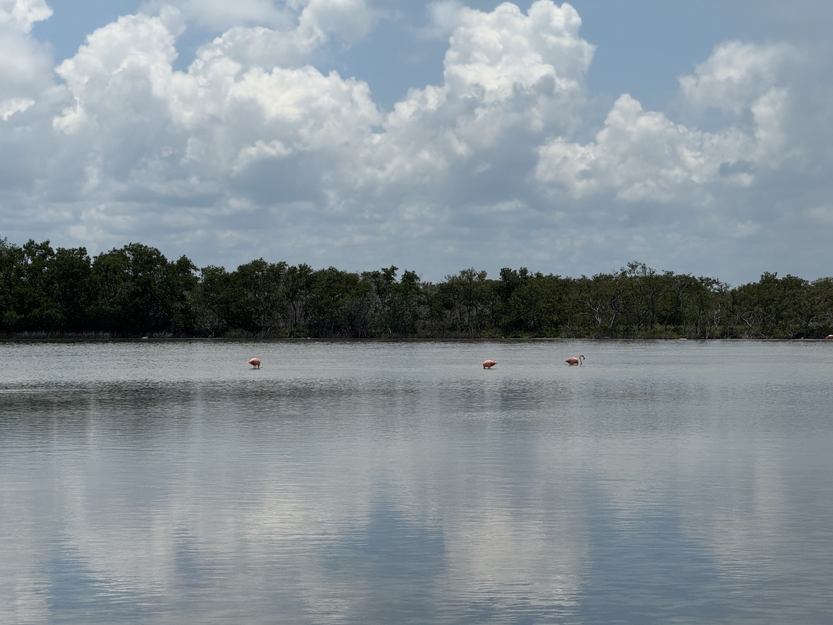 14 de 14: Vista Natural desde el Predio