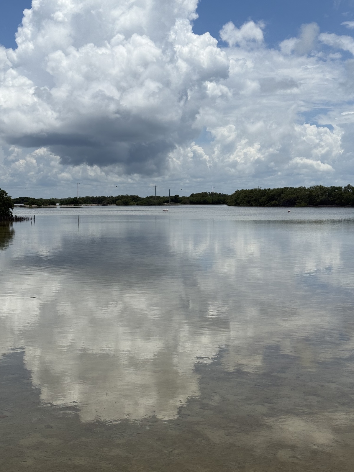11 de 14: Vistas desde el patio