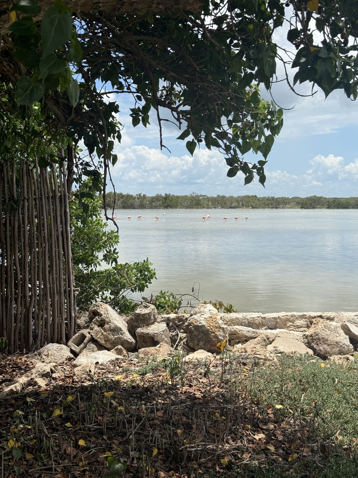 12 de 14: Vista privilegiada