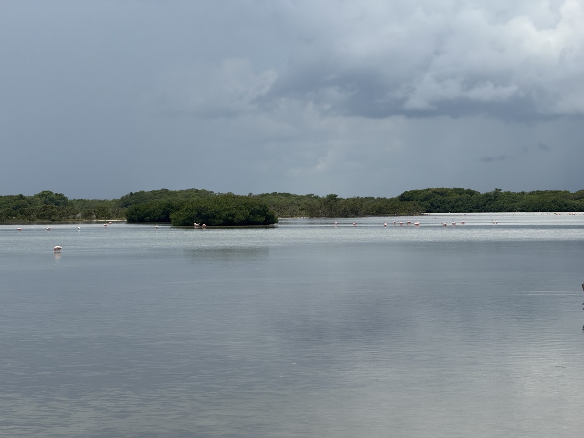13 de 14: Cienega a espaldas
