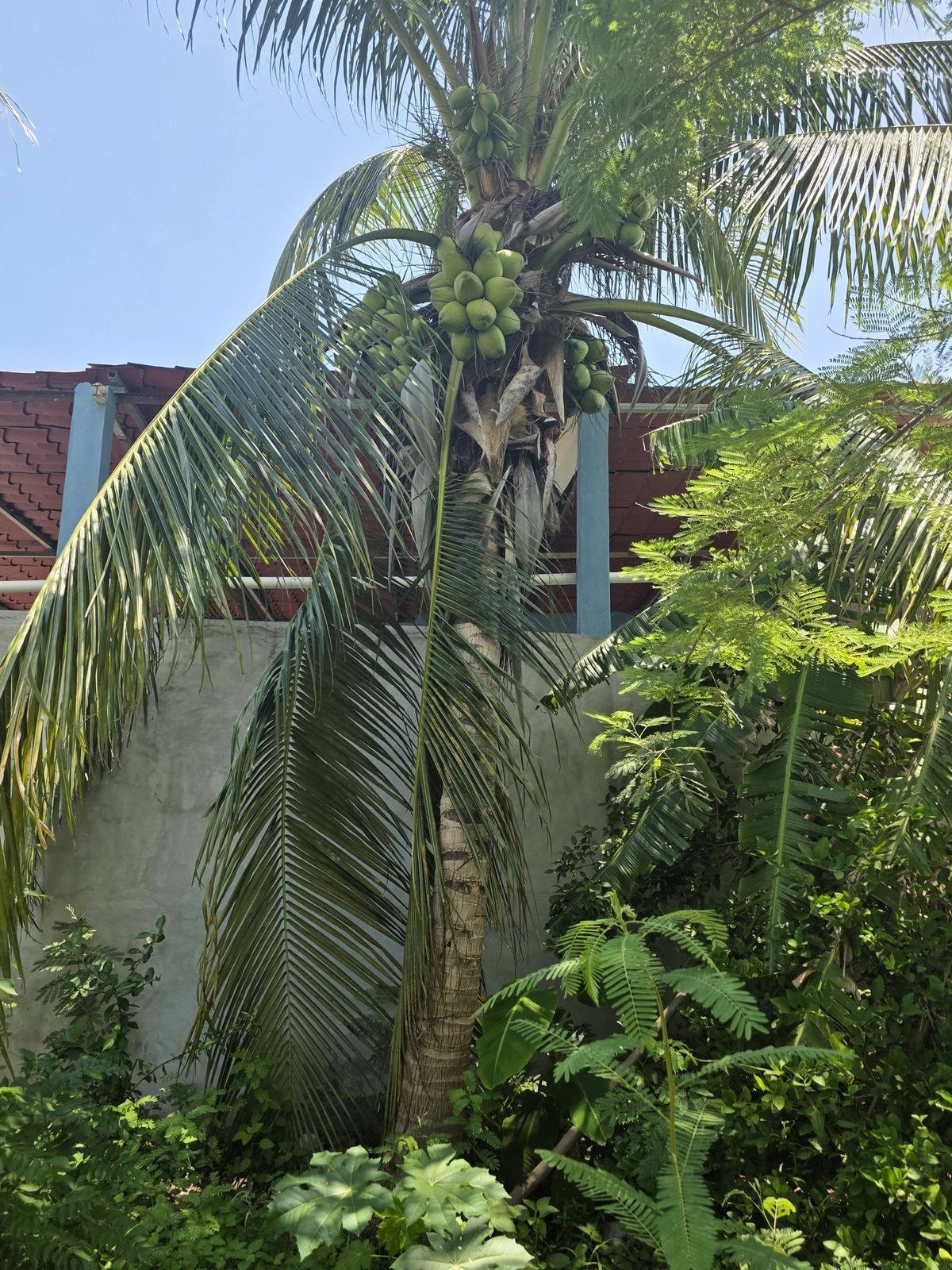 9 de 13