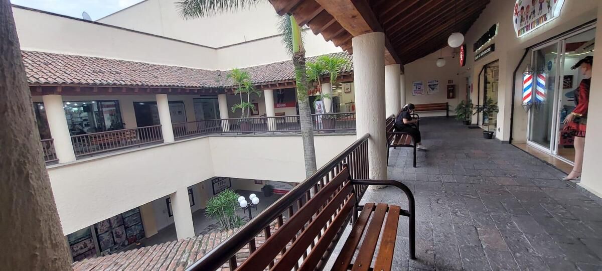 15 de 15
