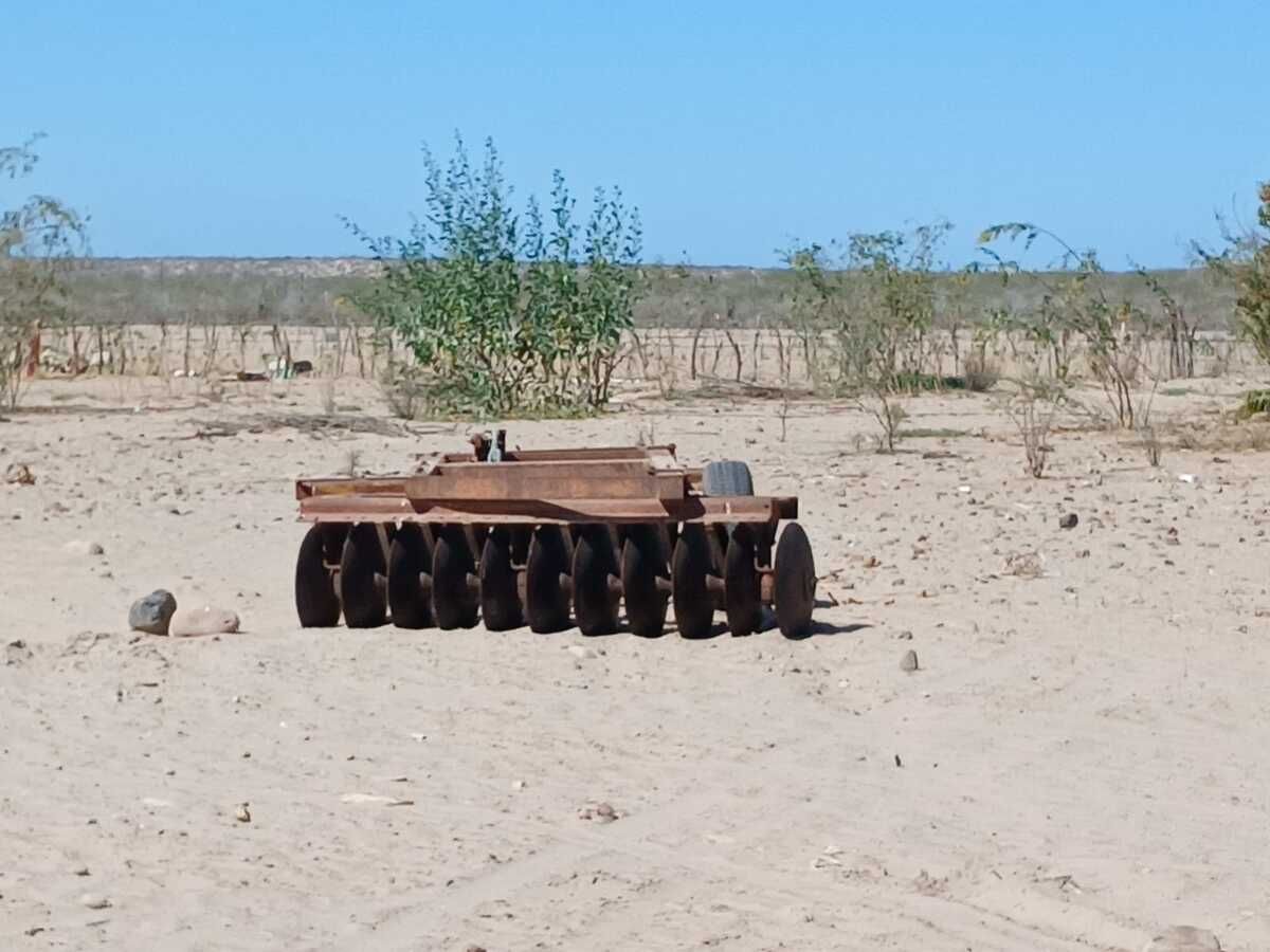 4 de 30