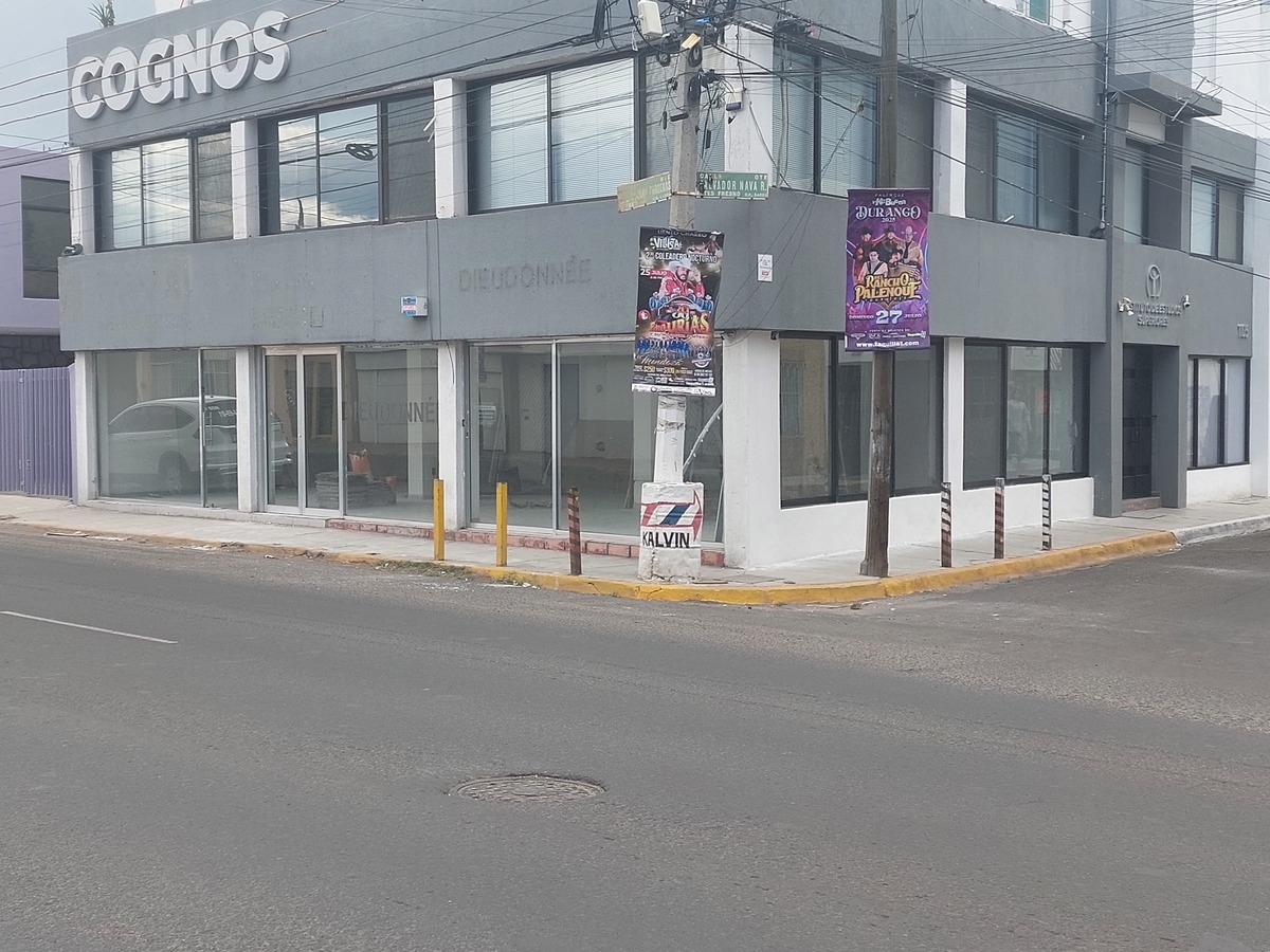 1 de 6