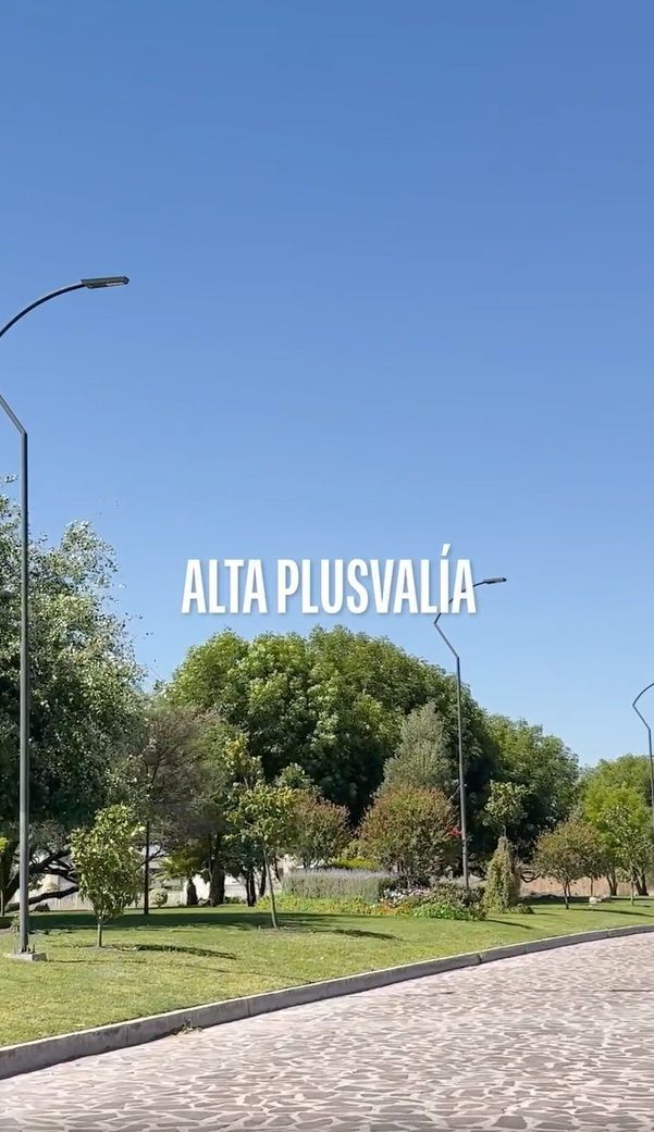 4 de 12