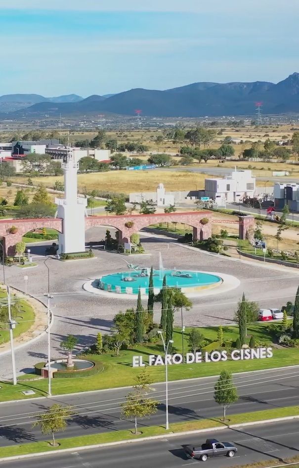 11 de 12