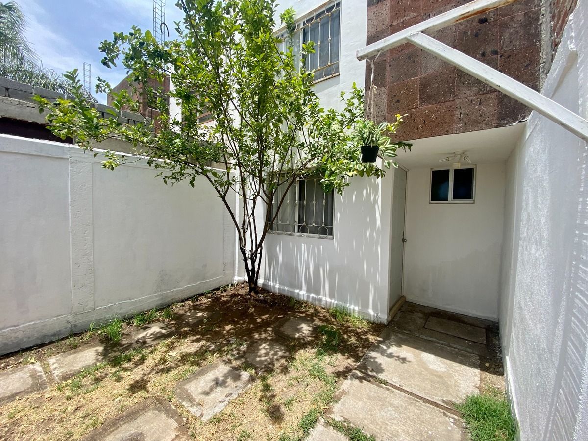2 of 19: Árbol de limones