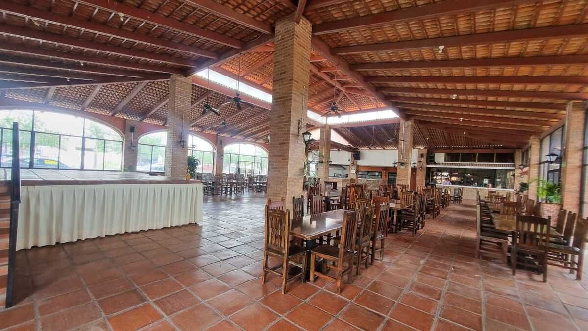 15 de 19