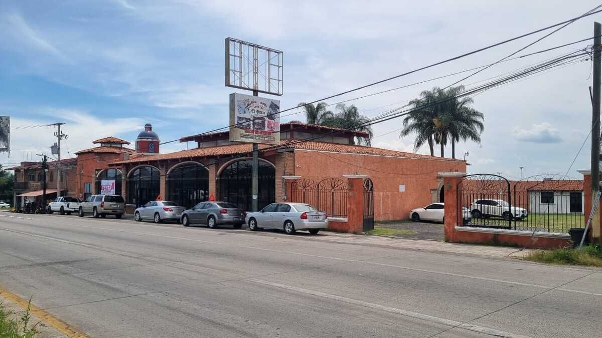 3 de 19