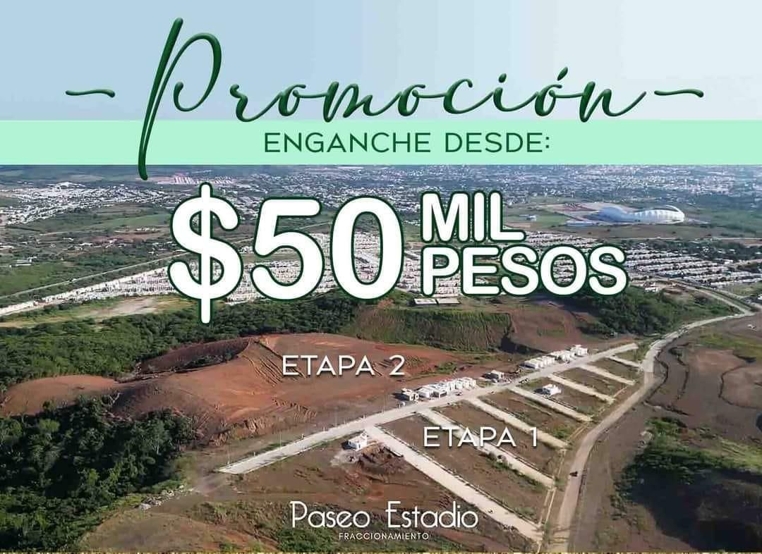4 de 7