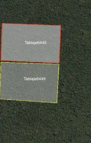 Terreno en Hunucma 20 hectáreas y 10 hectáreas - foto 1
