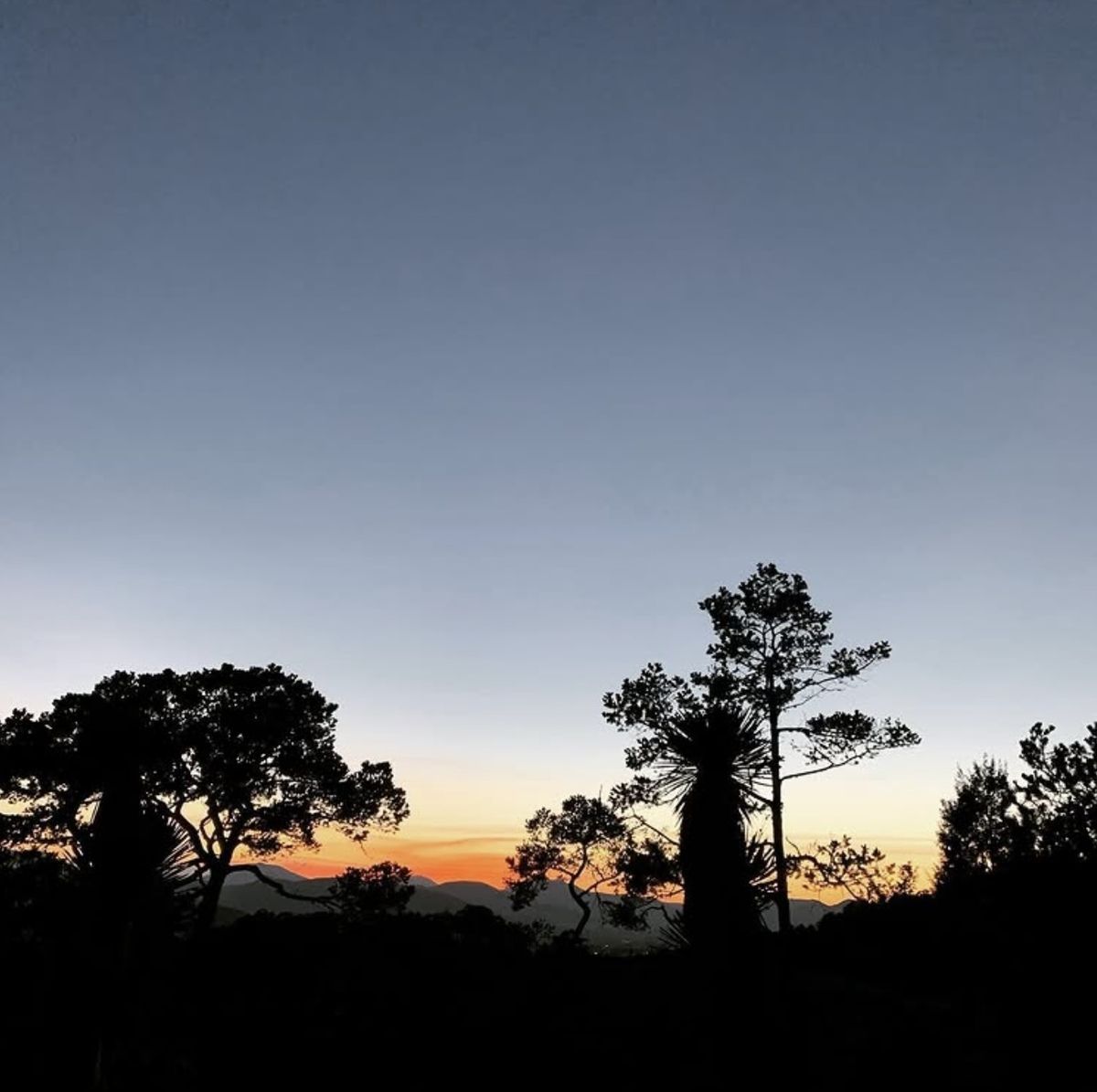 1 de 4