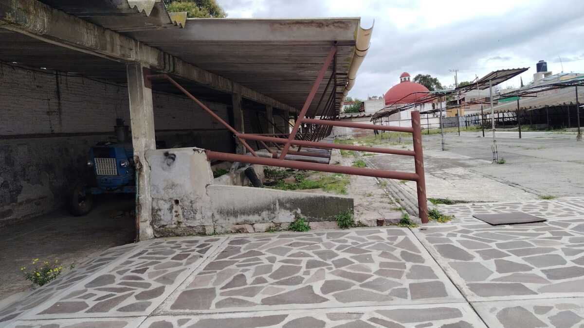 5 de 5