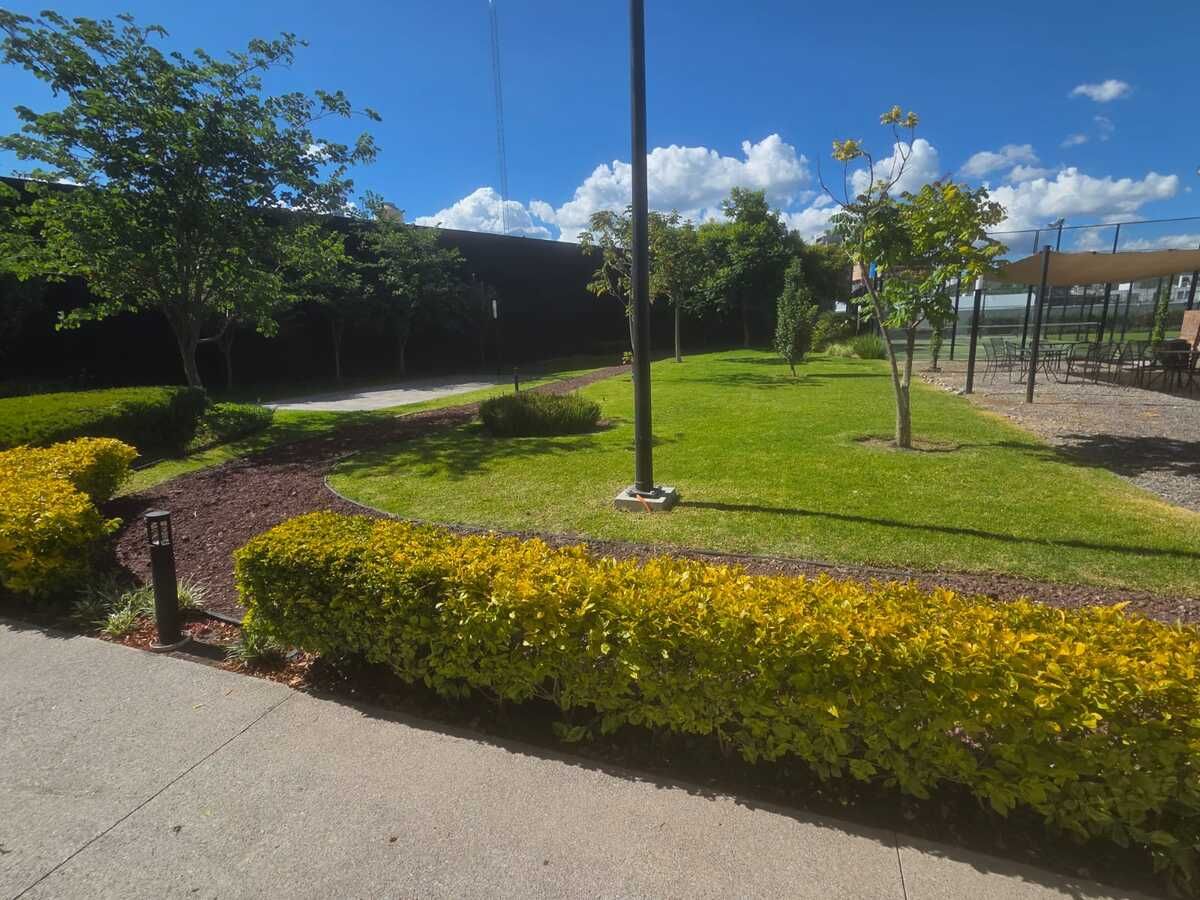 19 de 31