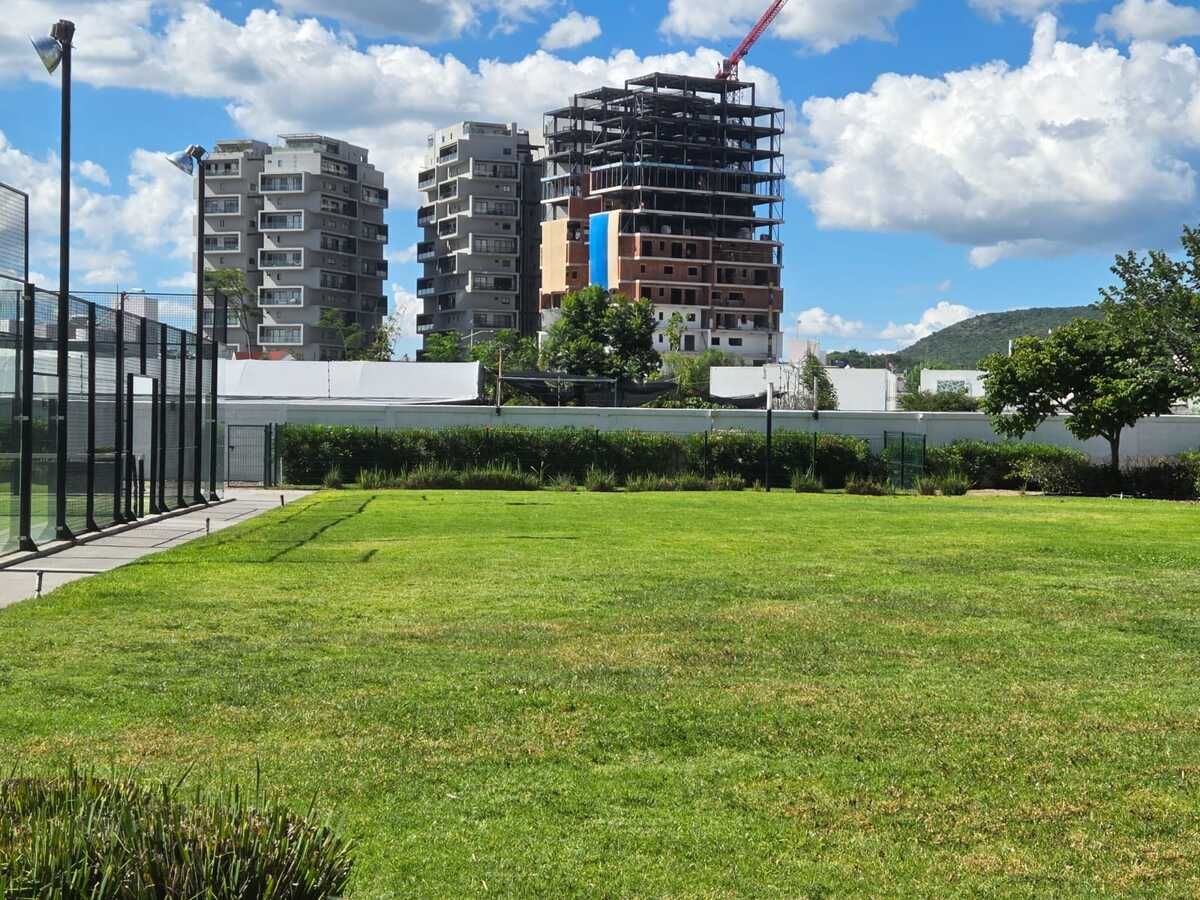 21 de 31