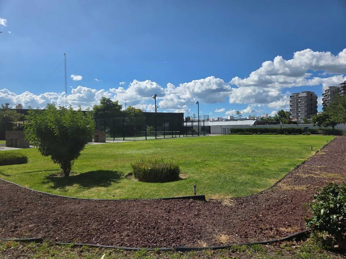 23 de 31