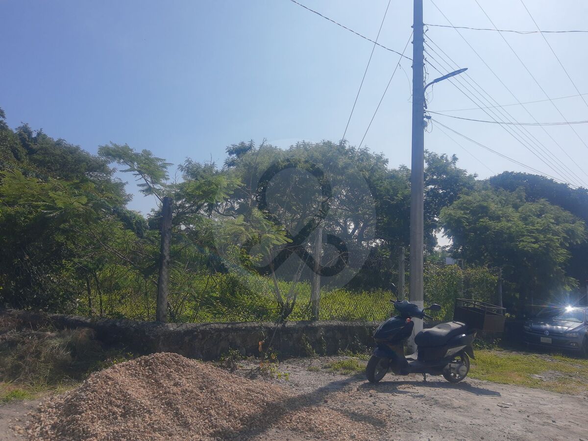 2 de 11