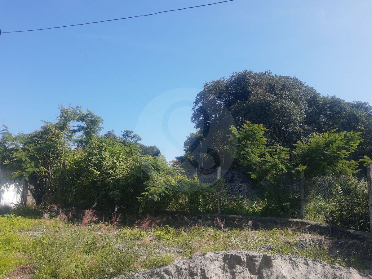 3 de 11