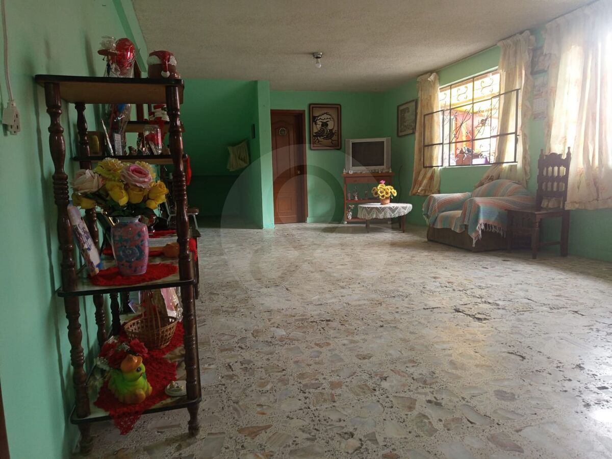 6 de 13