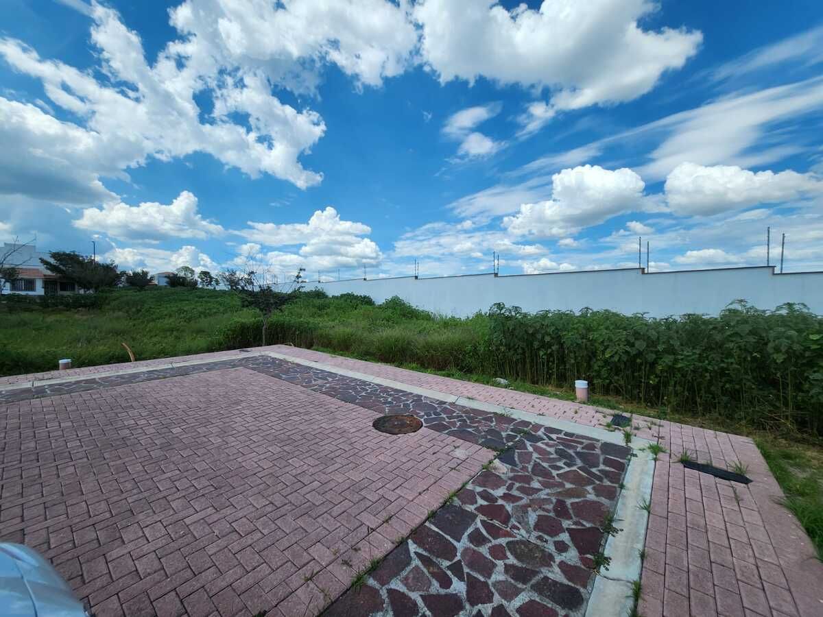 4 de 8