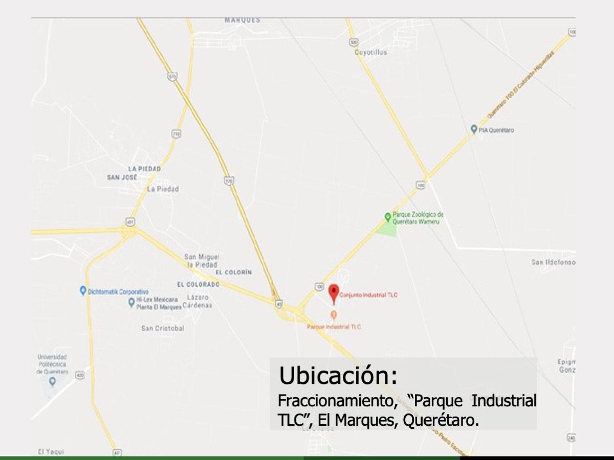 11 de 11